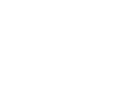 E-Audytor